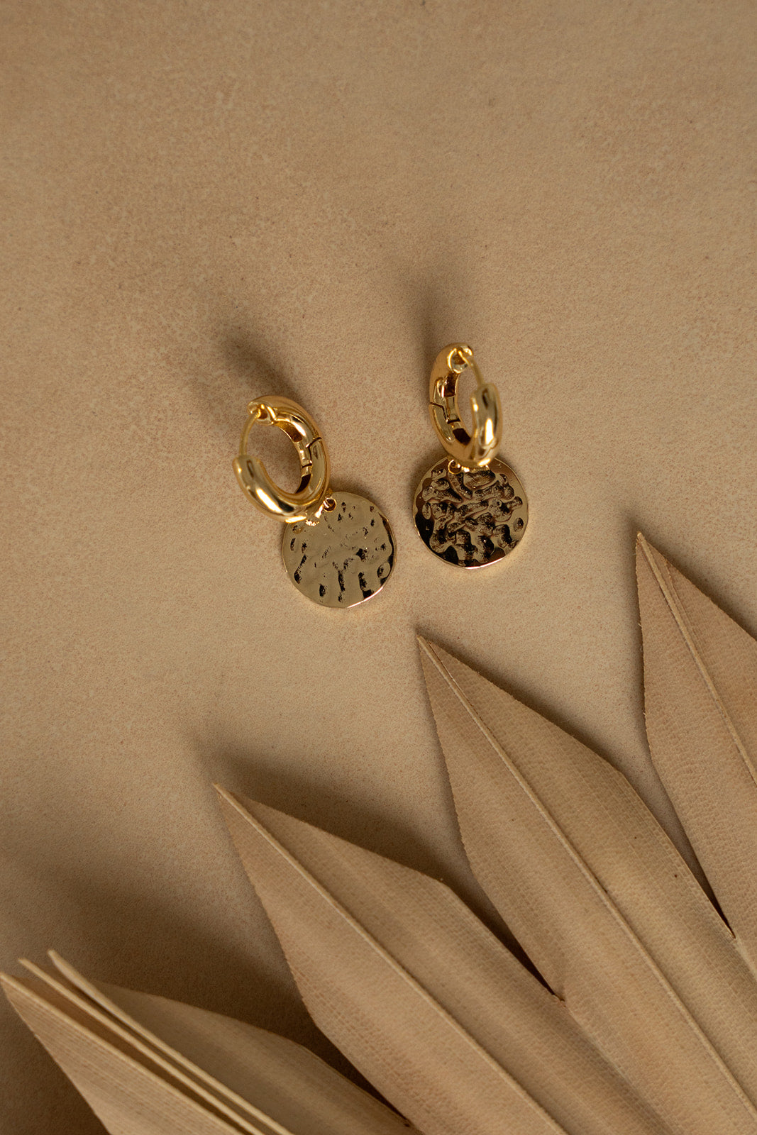 Boucles d'oreilles plaquées or 14K anneaux chunky avec médaillons - Raphaëlle 3 - lifestyle-1